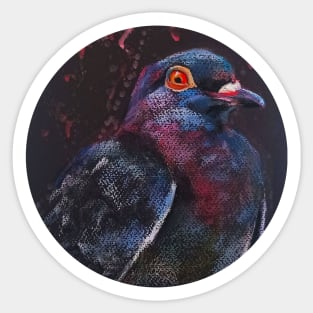 Pigeon Sticker